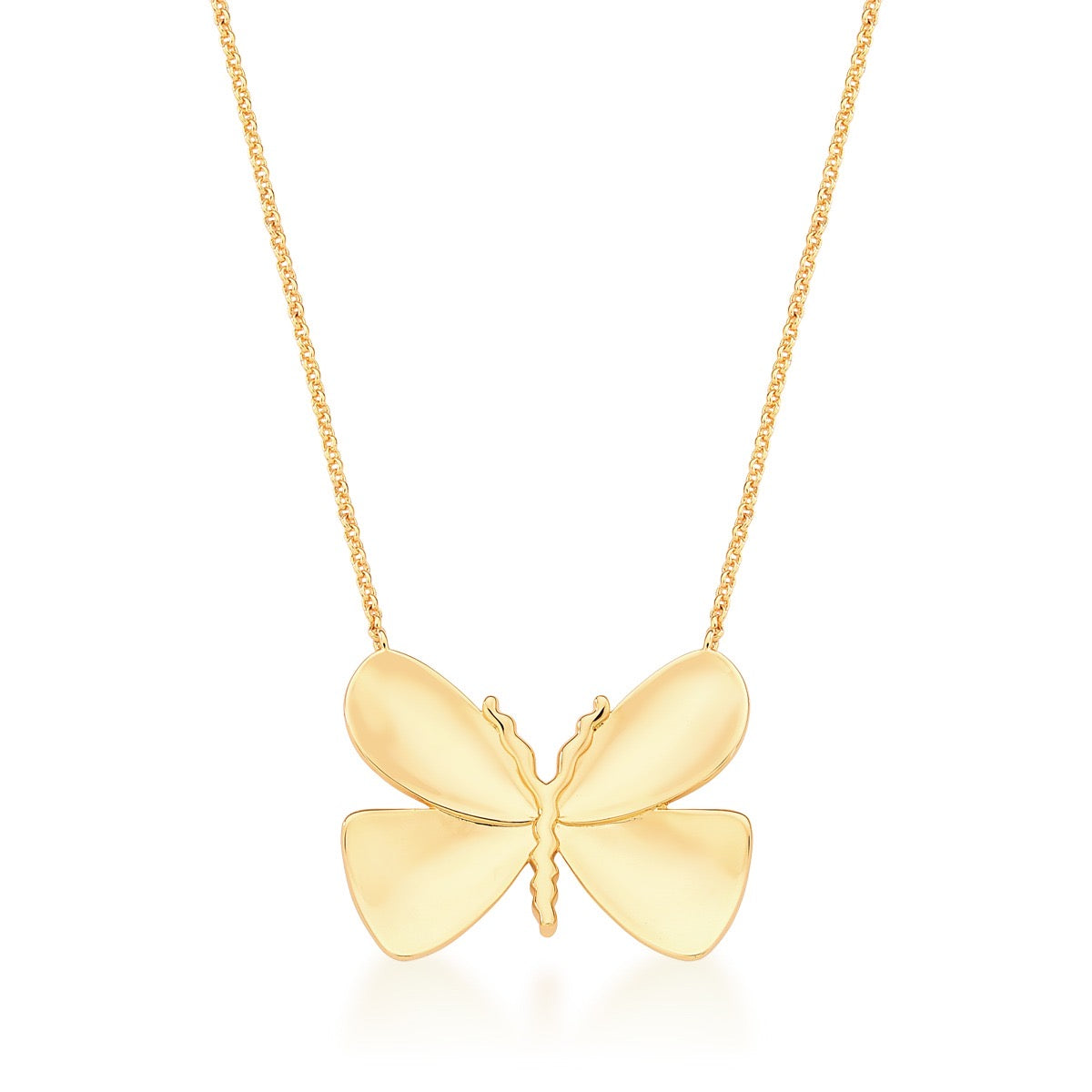 Conjunto Borboleta
