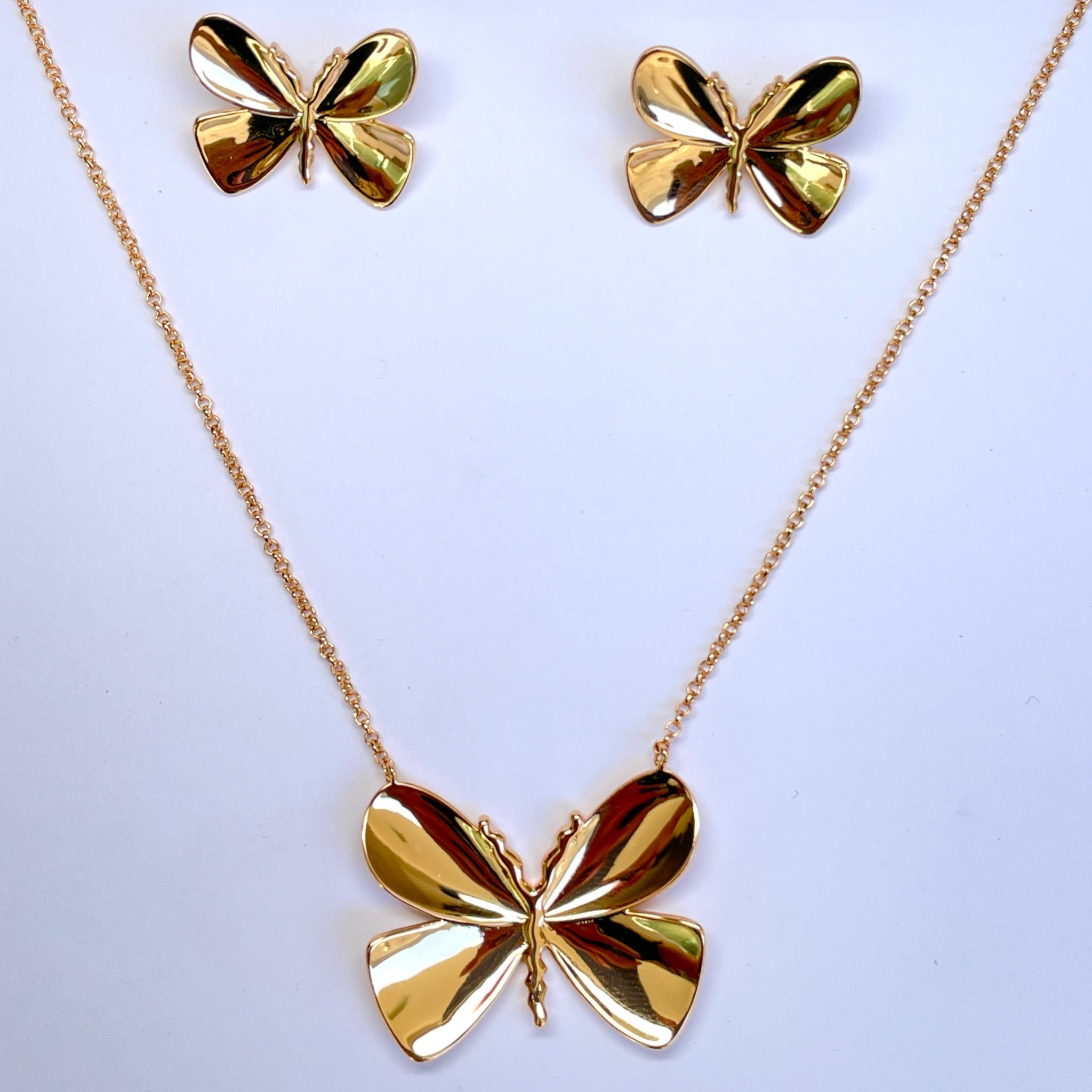 Conjunto Borboleta