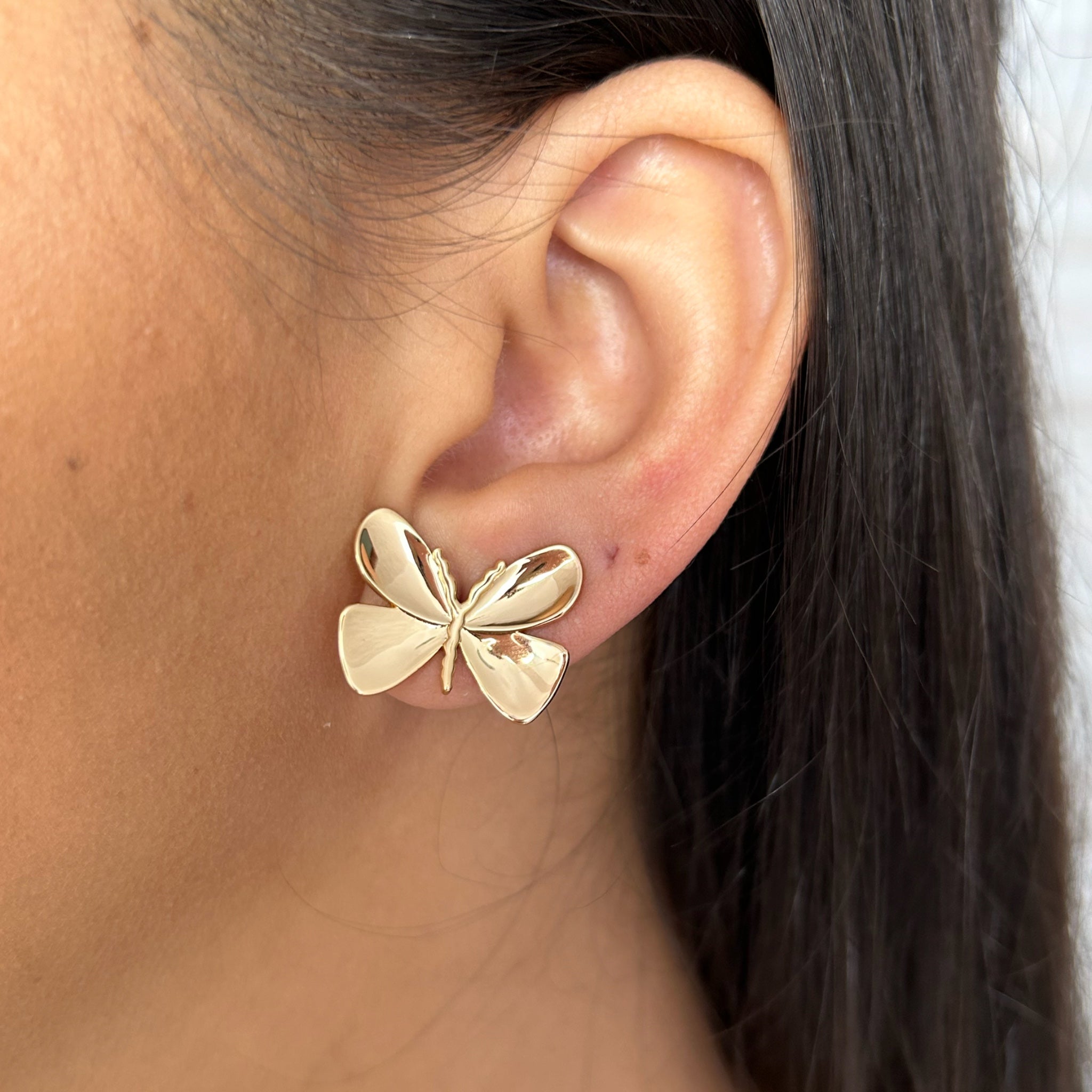 Conjunto Borboleta